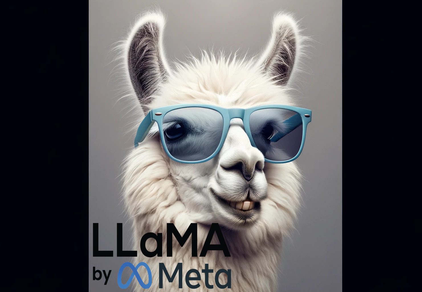 LLama By Meta AI Models