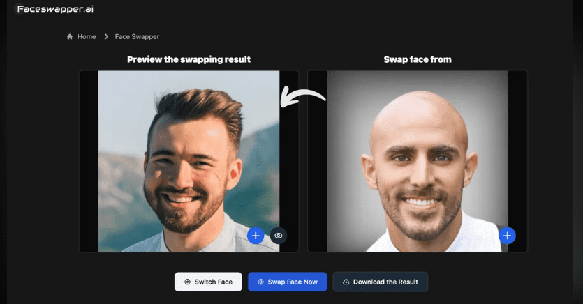 FaceSwapper Preview feature