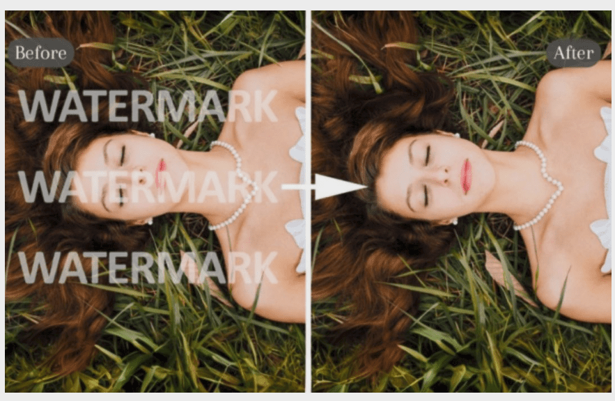 Remaker Watermark Remover AI