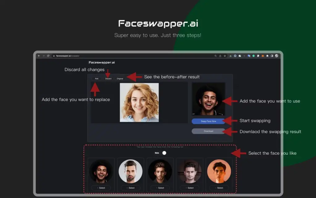 FaceSwapper how to use