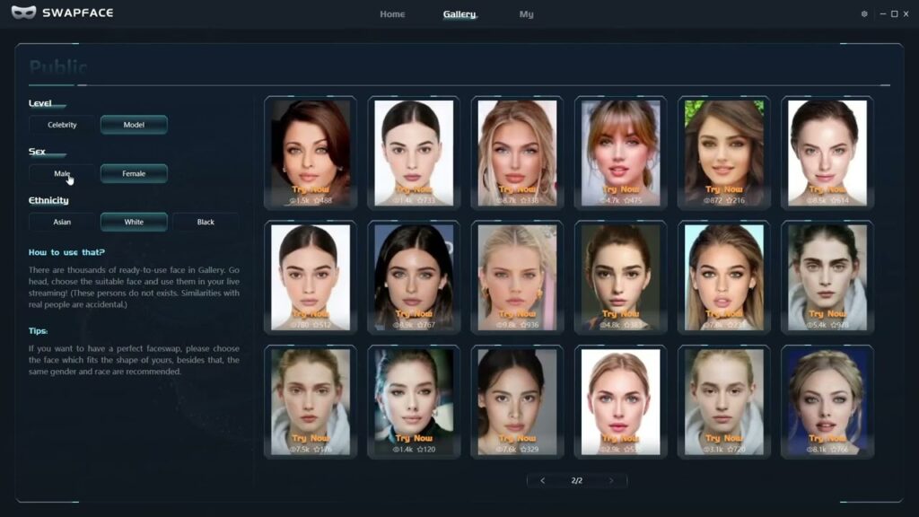 What Swapface AI Does with faces?