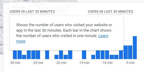 Google Users in Last 5 minutes 30 minutes label bug