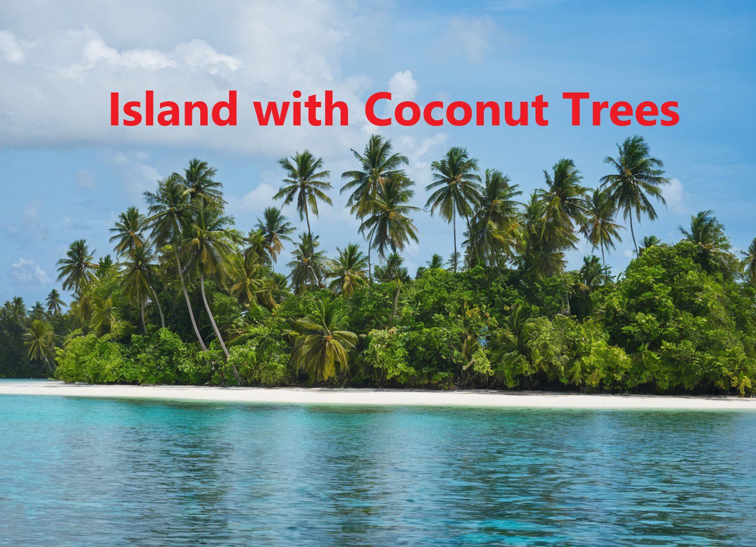 An AI Generated Island with coconut trees