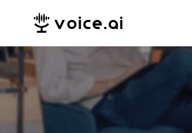 Voice AI Company