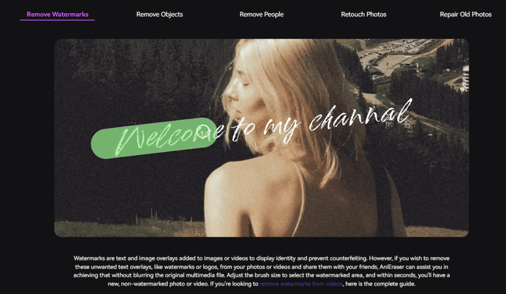 Anieraser AI Watermark Remover