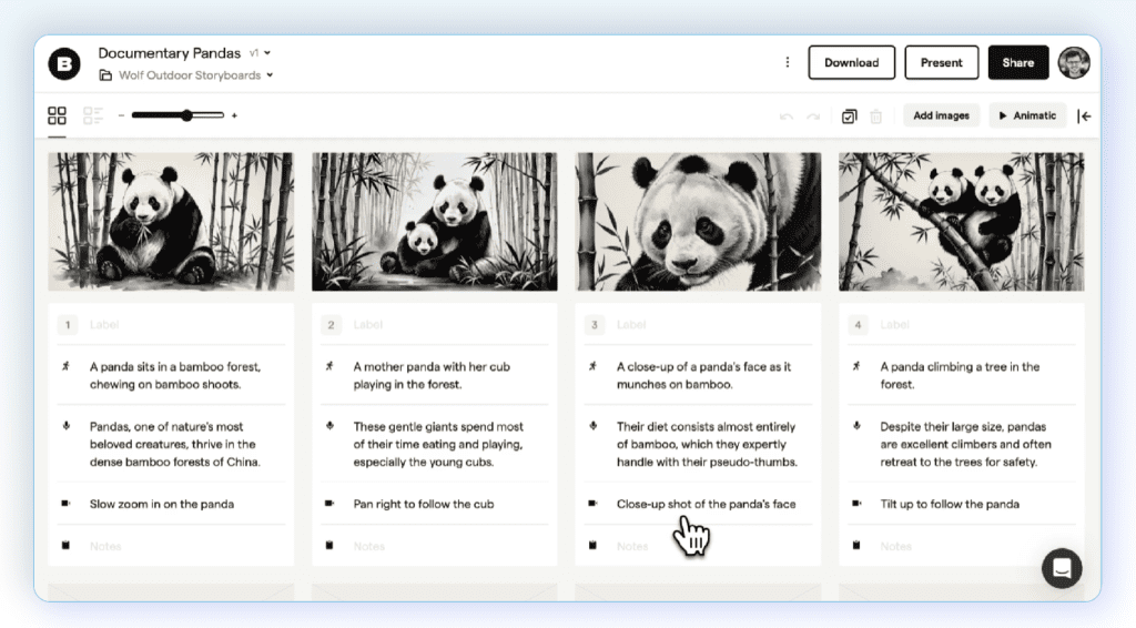 Pandas StoryBoard